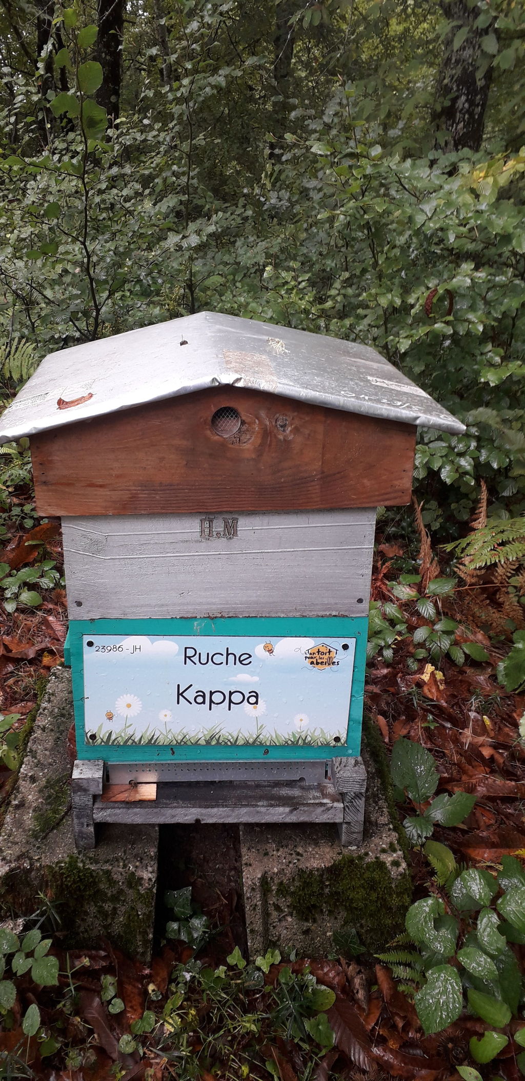 La ruche Kappa