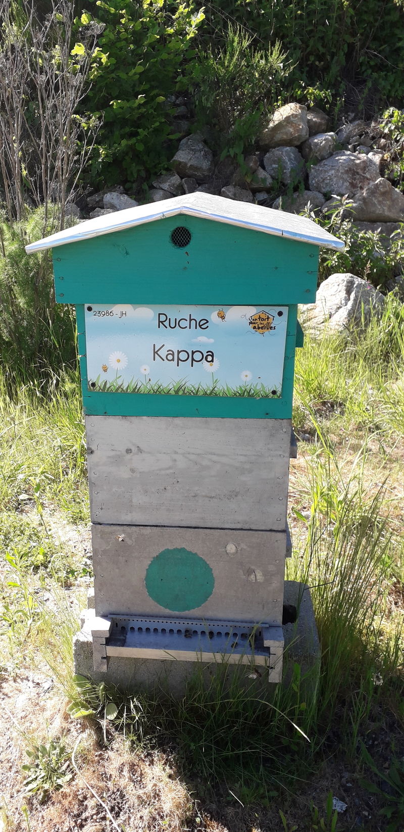 La ruche Kappa