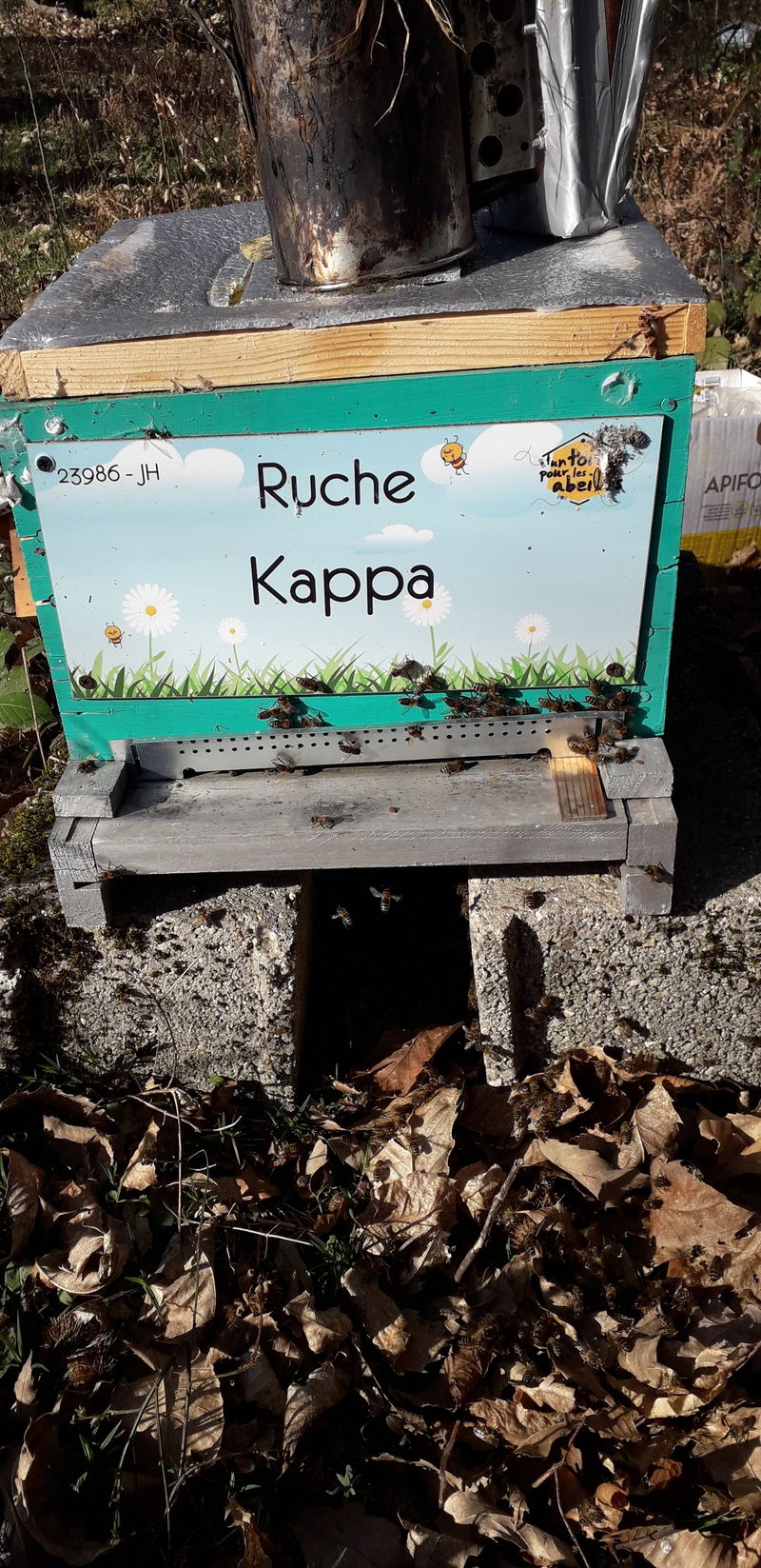 La ruche Kappa