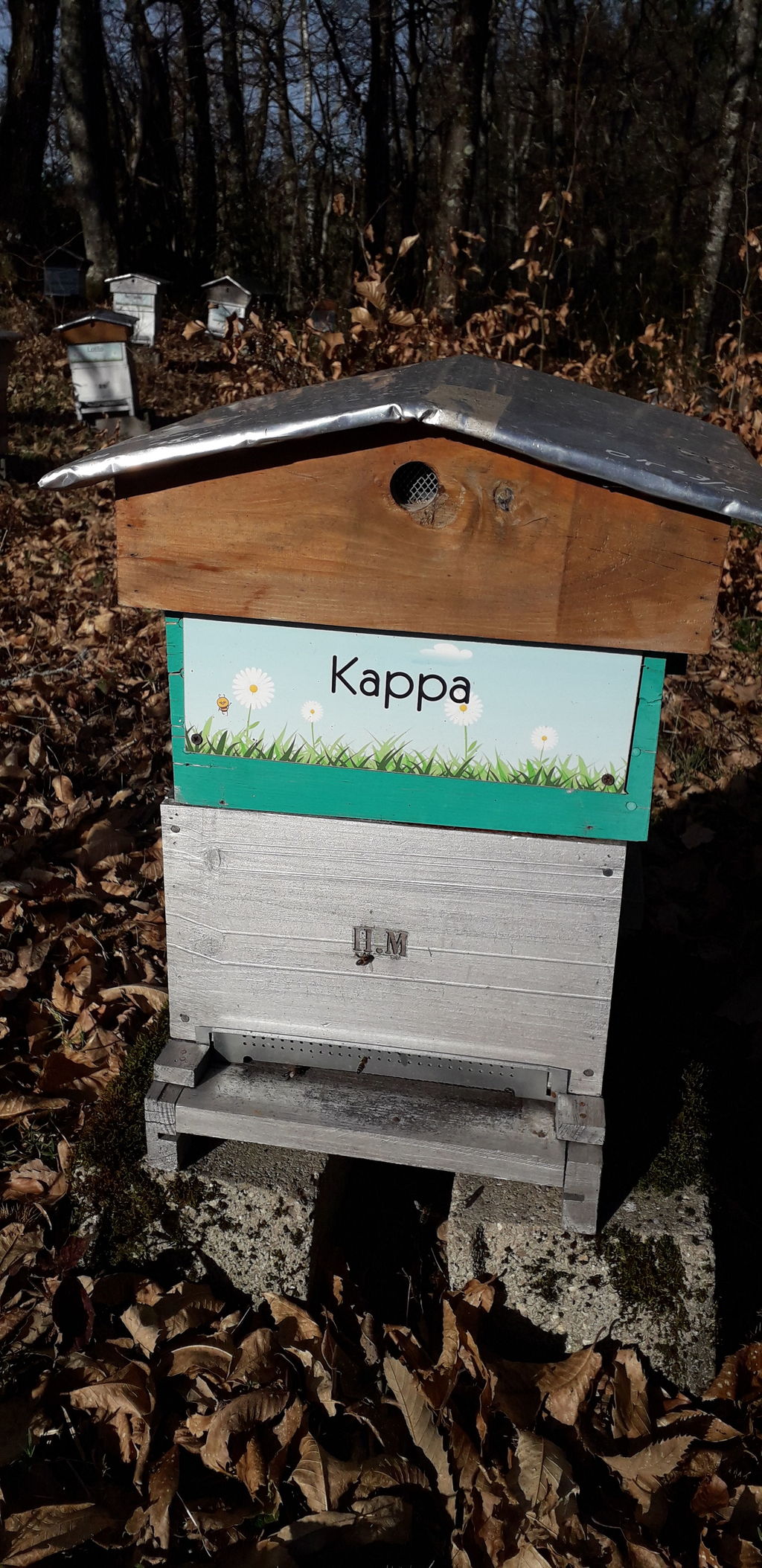 La ruche Kappa