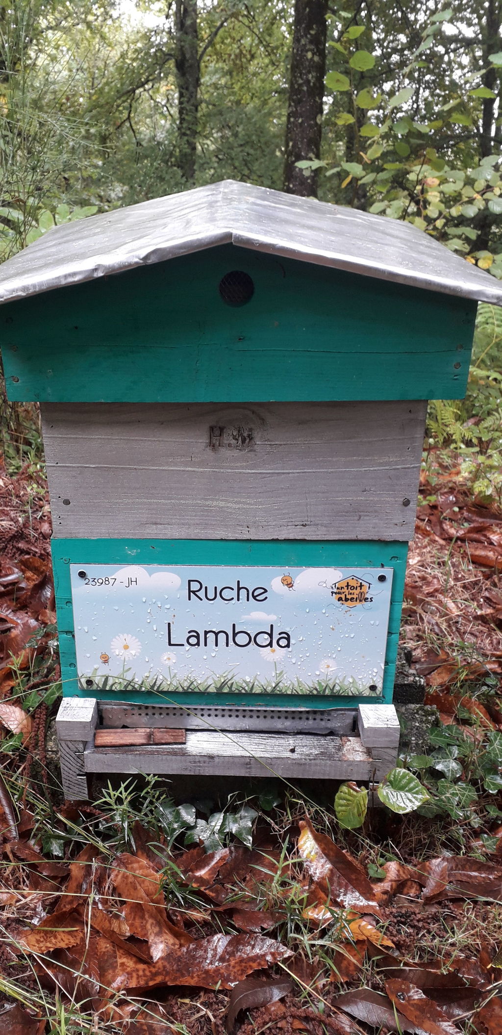 La ruche Lambda