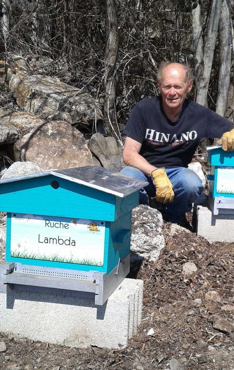 La ruche Lambda
