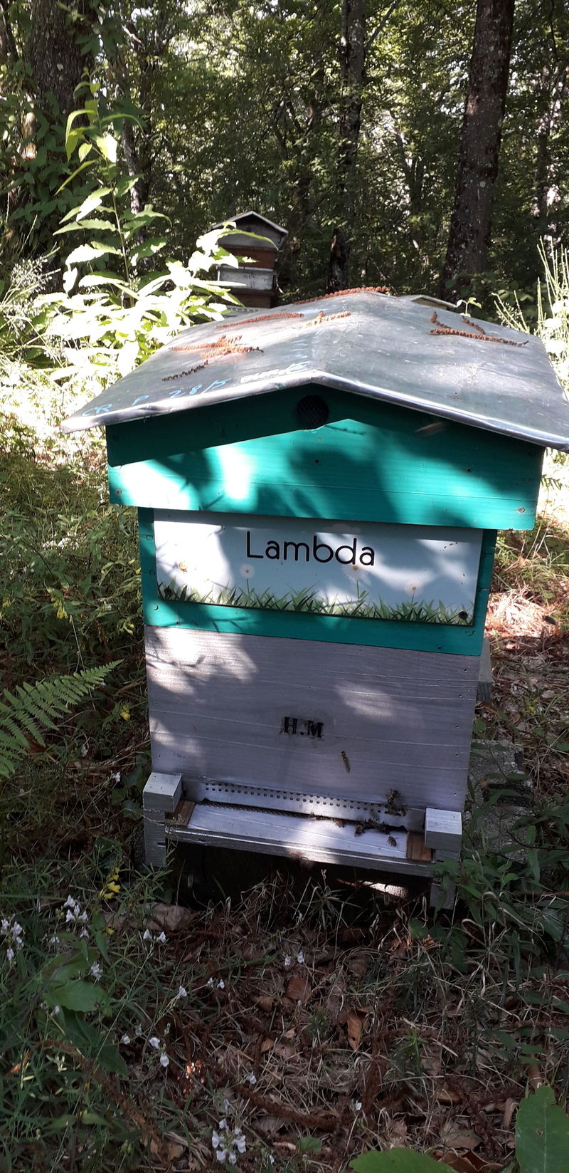 La ruche Lambda