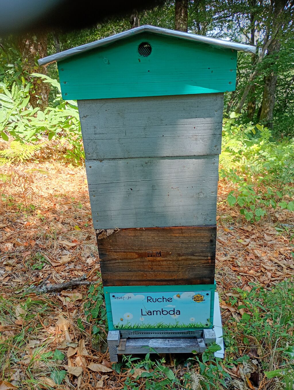 La ruche Lambda