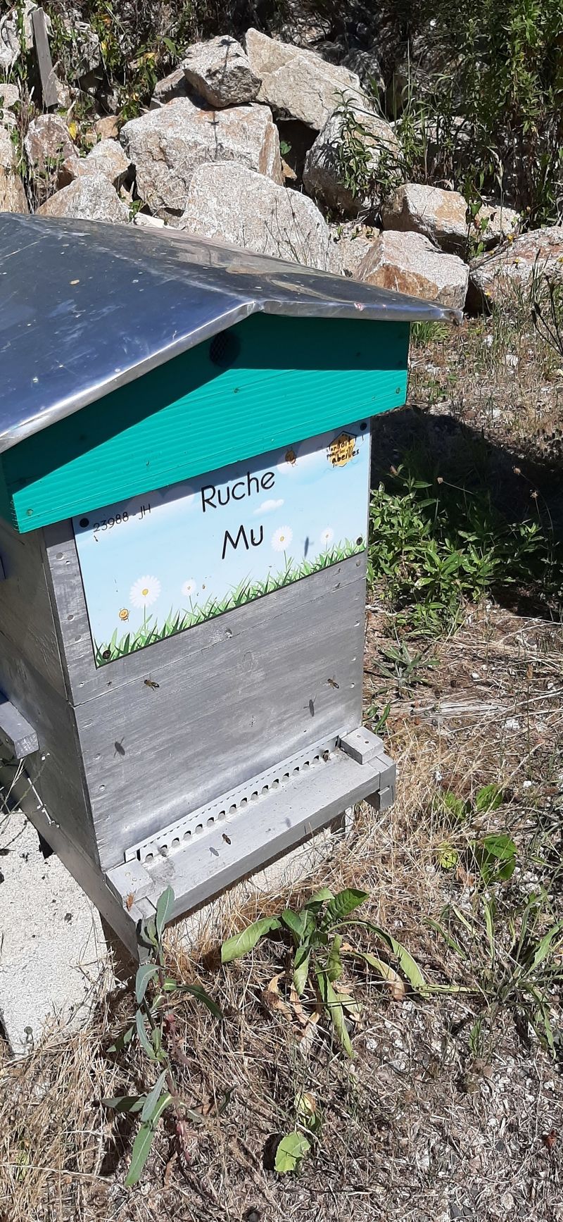La ruche Mu