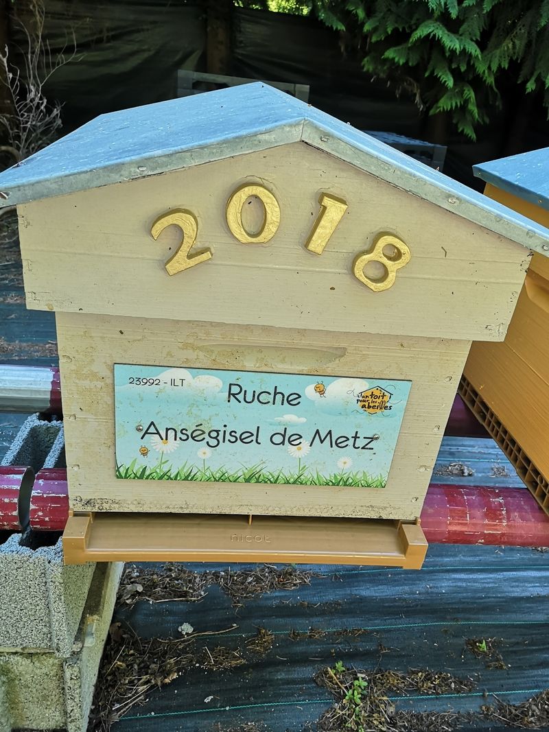 La ruche Anségisel de Metz