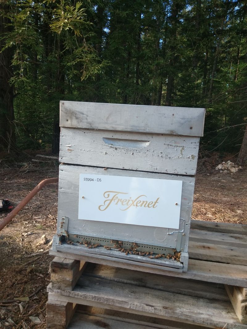 La ruche Freixenet-gratien