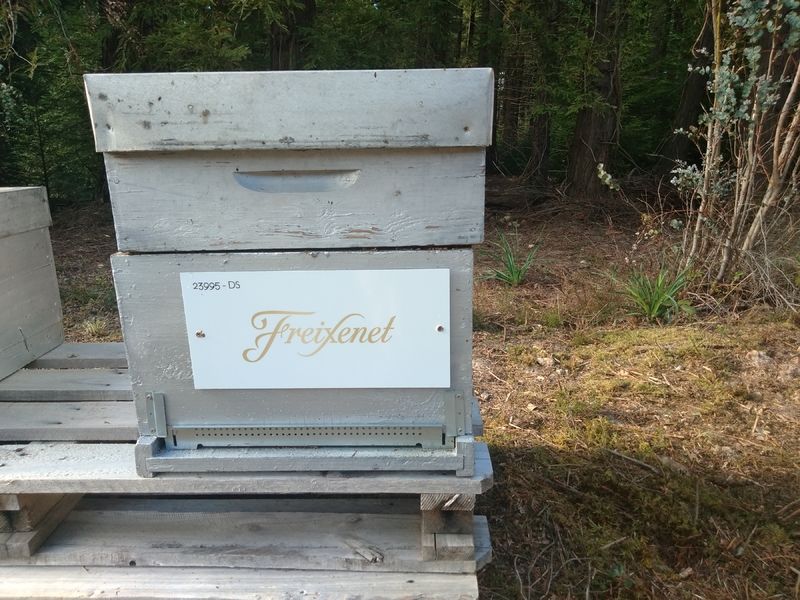 La ruche Freixenet-gratien