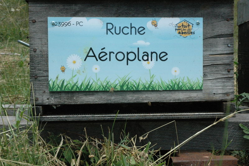La ruche Aéroplane