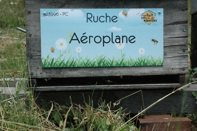 La ruche Aéroplane