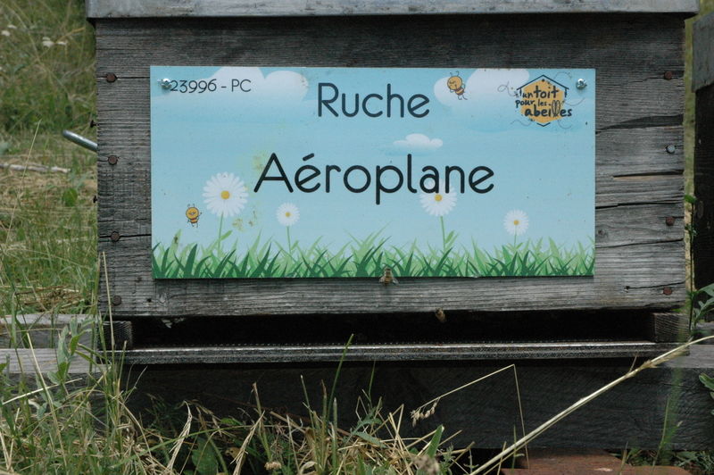 La ruche Aéroplane