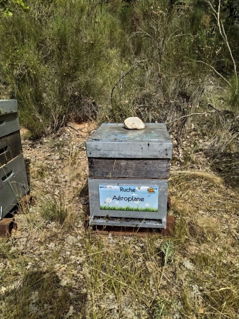 La ruche Aéroplane
