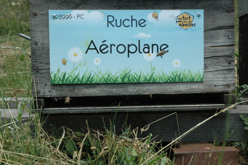 La ruche Aéroplane