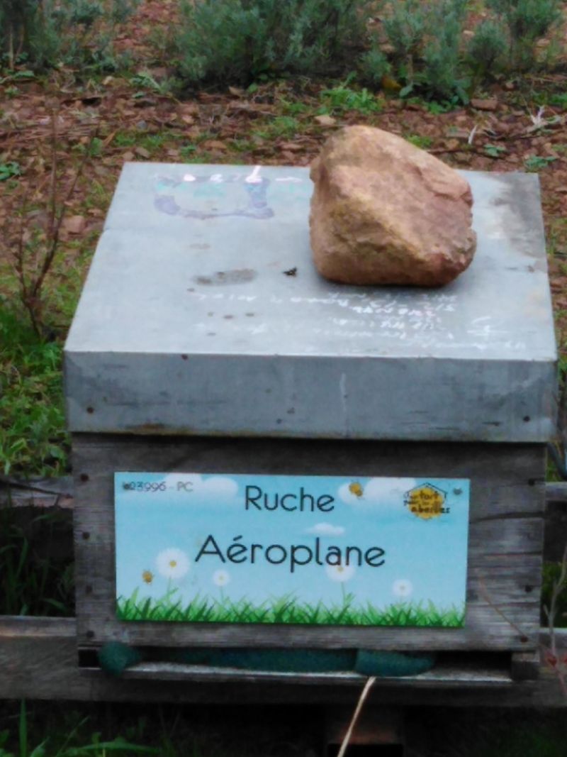 La ruche Aéroplane