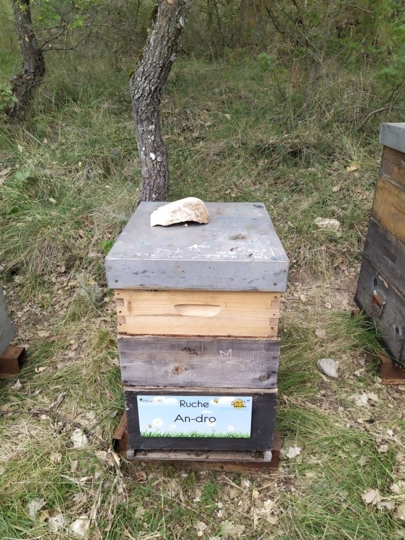 La ruche An-dro