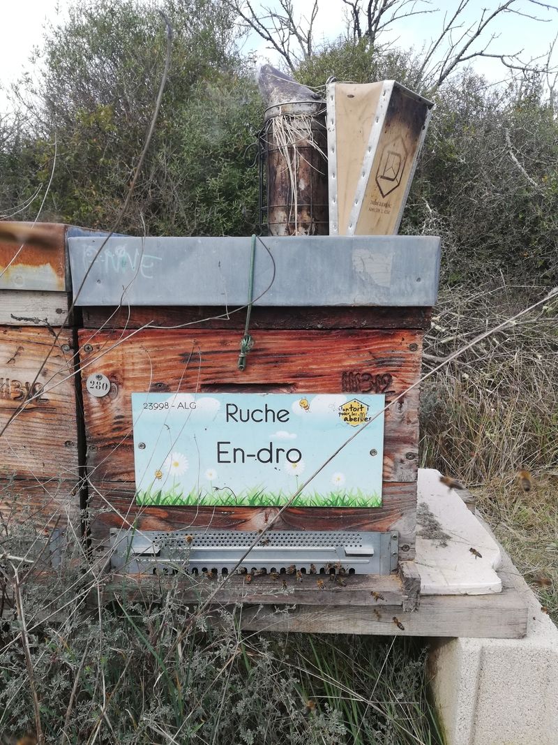 La ruche En-dro