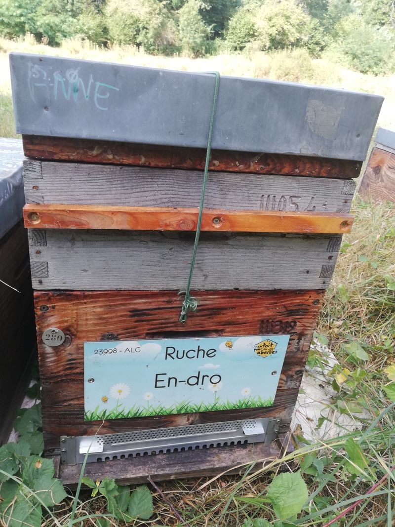 La ruche En-dro