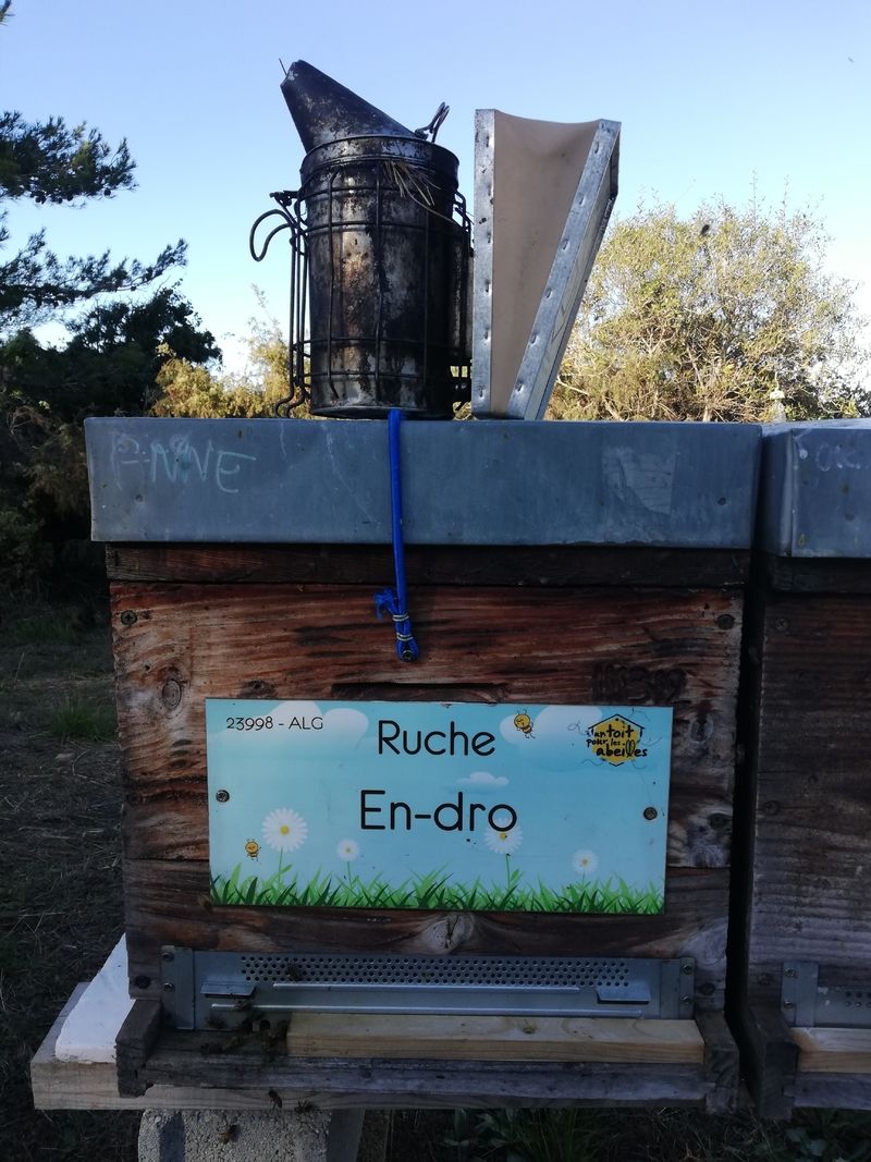 La ruche En-dro