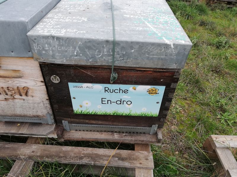 La ruche En-dro