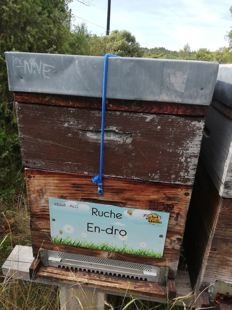 La ruche En-dro
