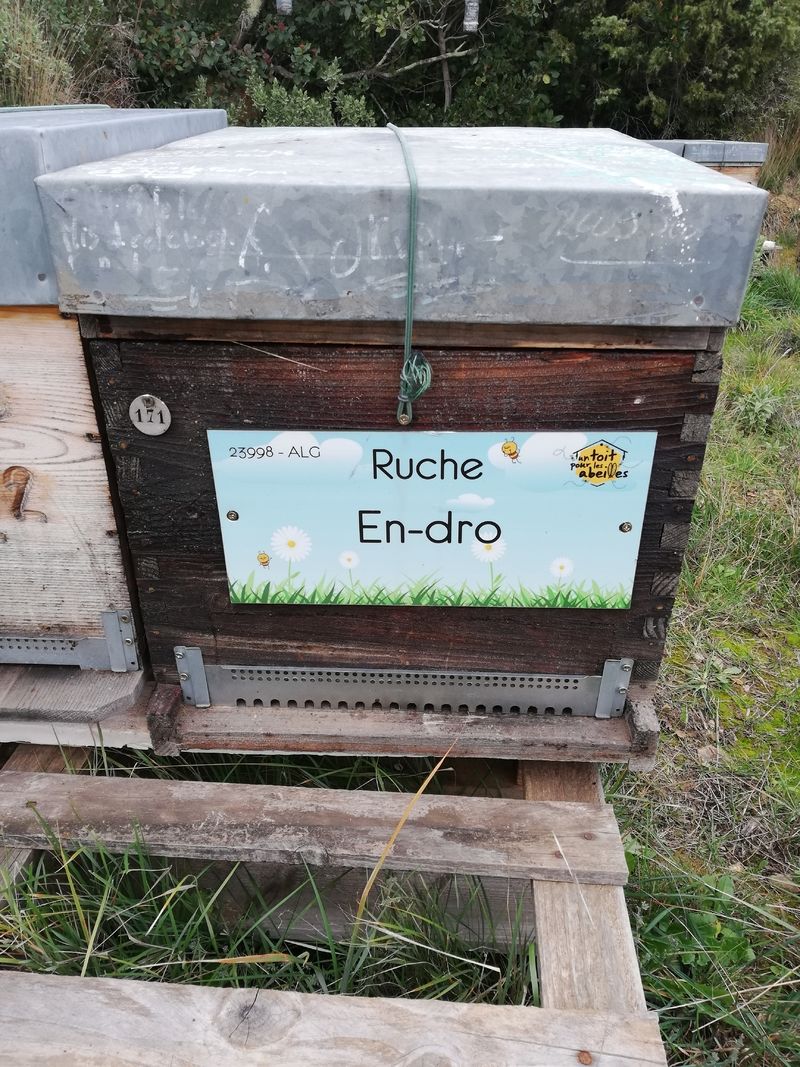 La ruche En-dro