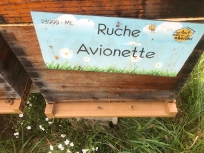 La ruche Avionette