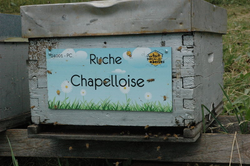La ruche Chapelloise