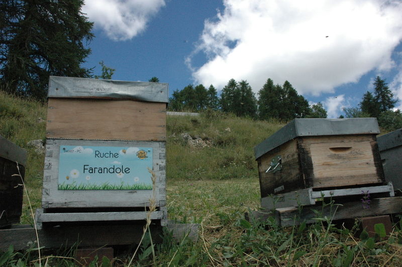 La ruche Farandole