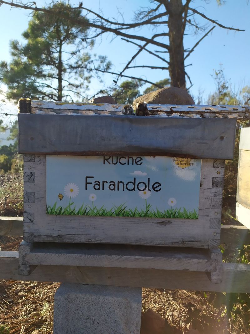 La ruche Farandole