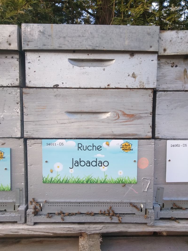 La ruche