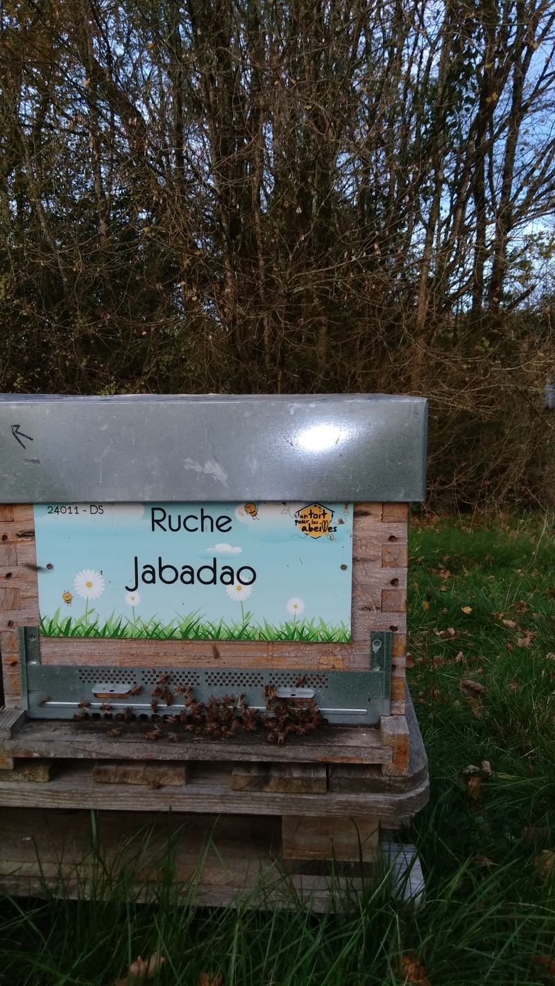 La ruche Jabadao