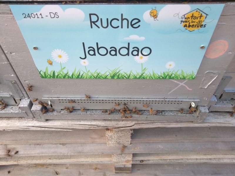 La ruche Jabadao
