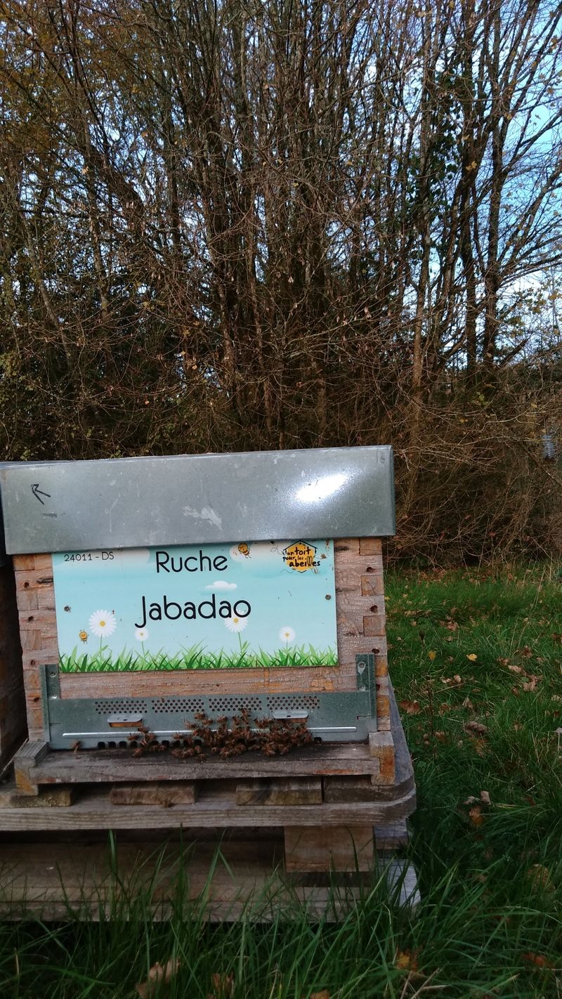 La ruche Jabadao
