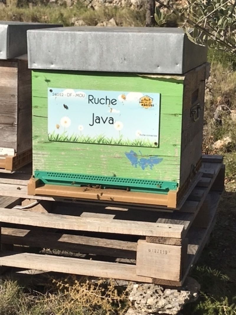 La ruche Java