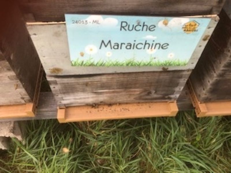 La ruche Maraichine