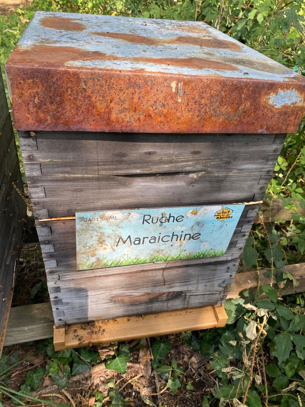 La ruche Maraichine