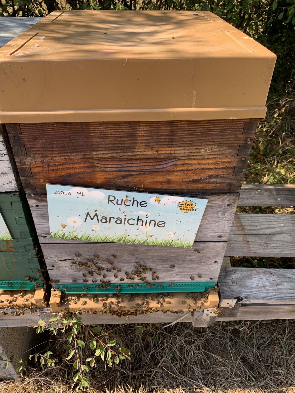 La ruche Maraichine