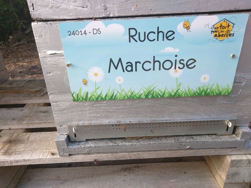 La ruche Marchoise