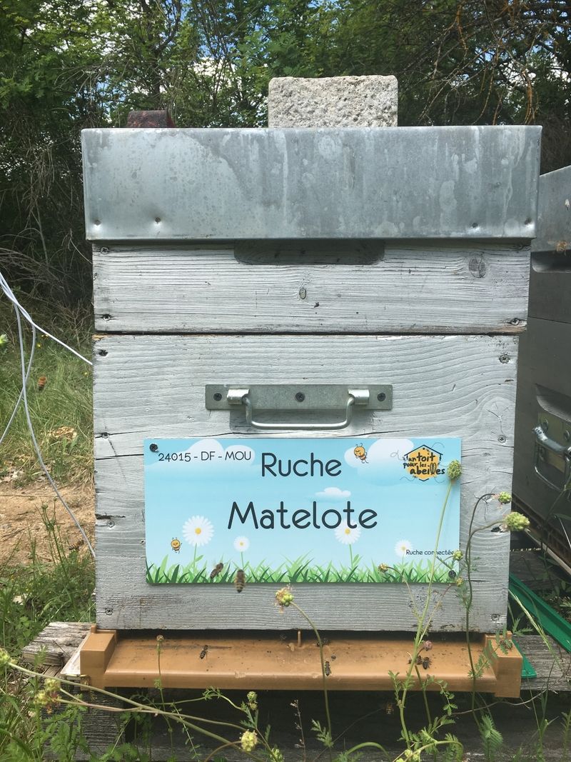 La ruche