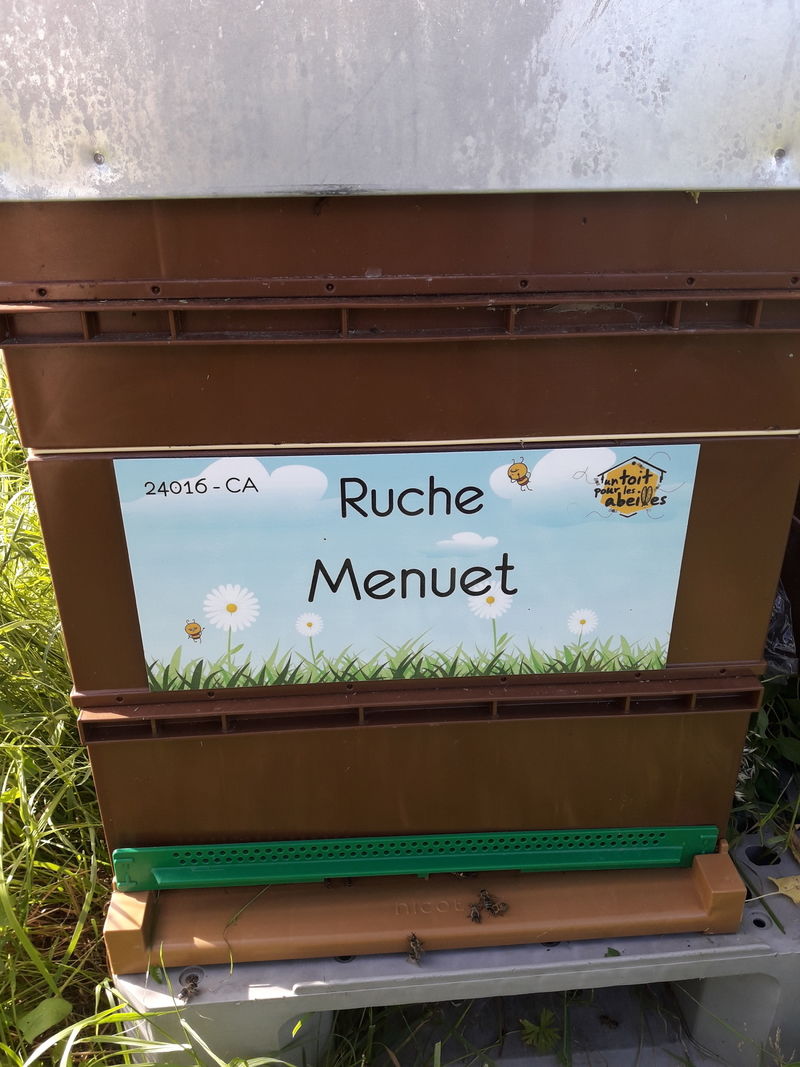 La ruche