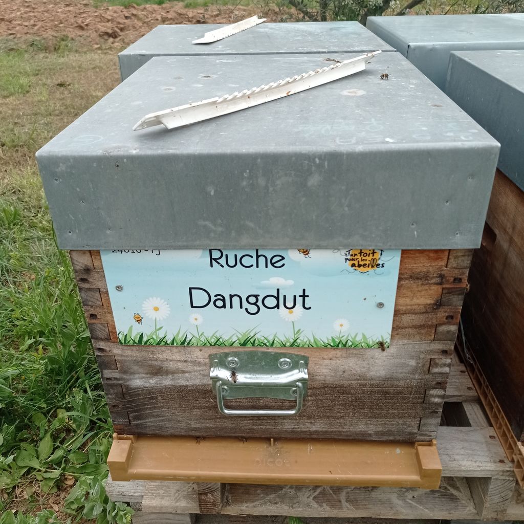 La ruche