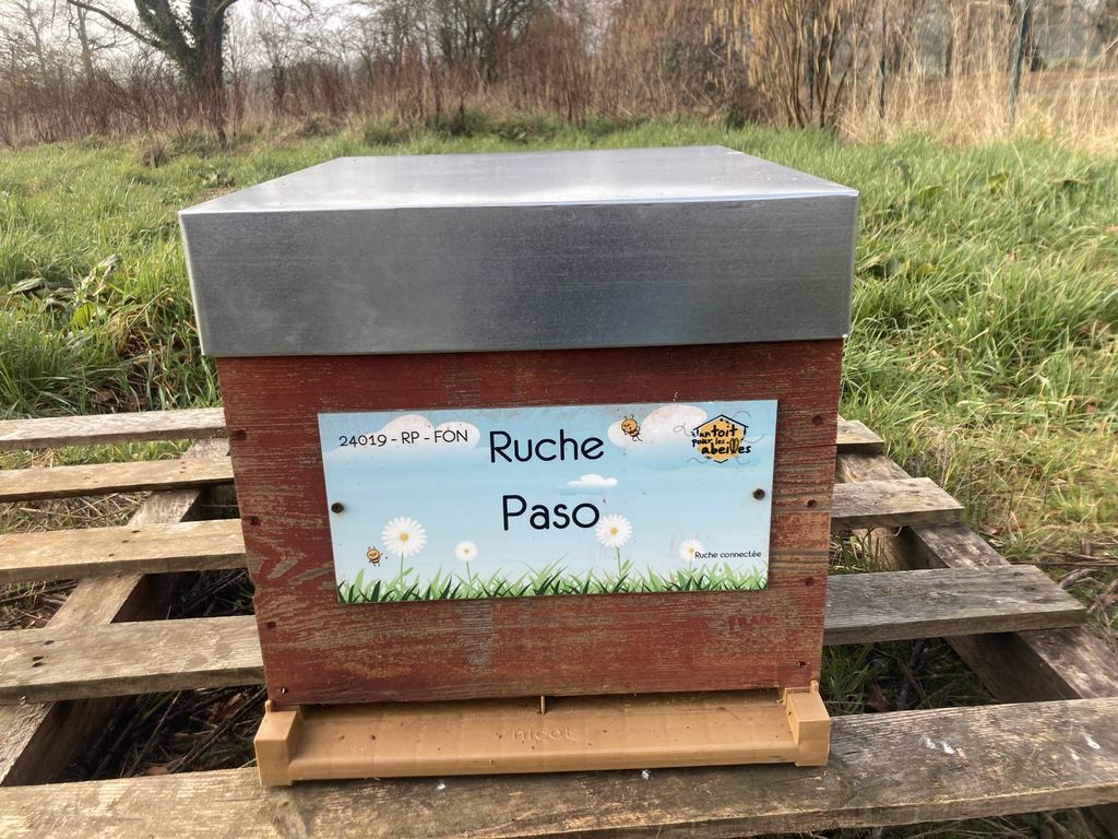 La ruche