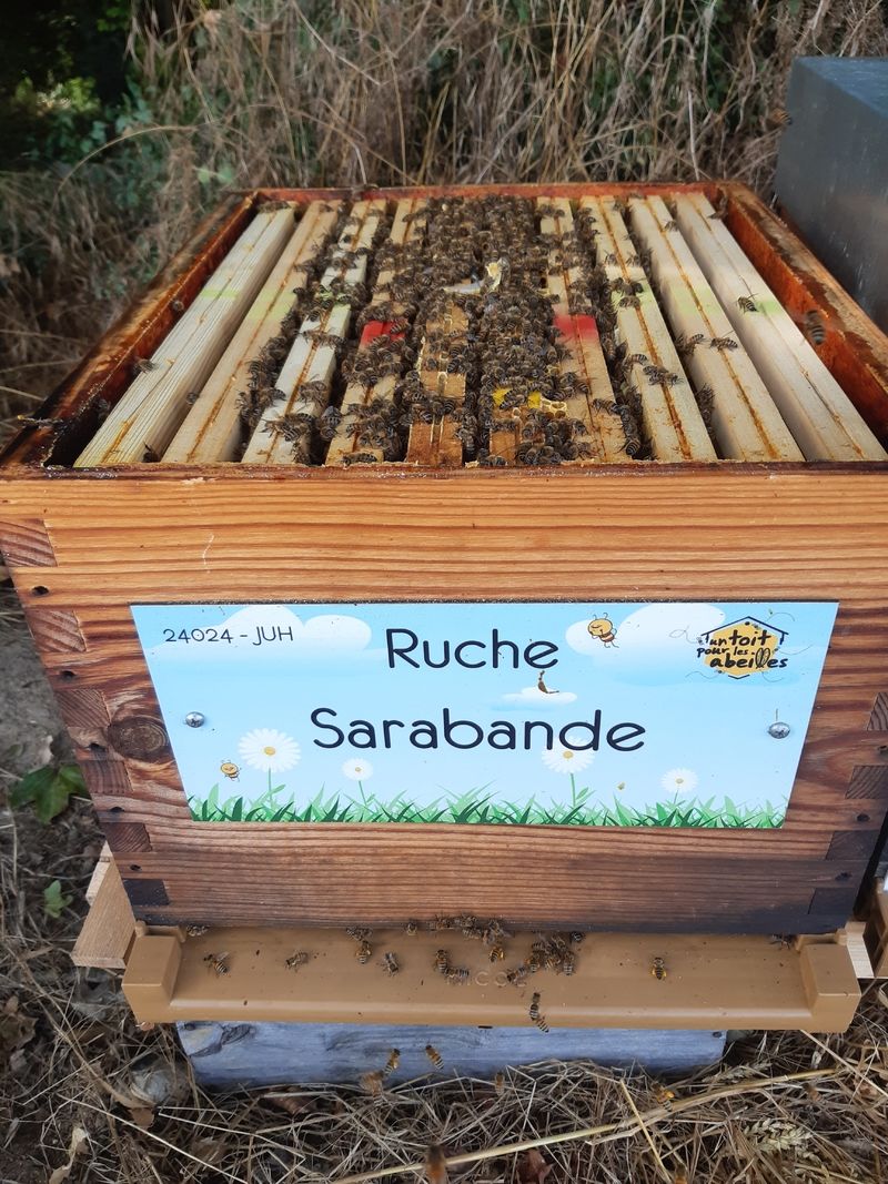 La ruche Sarabande