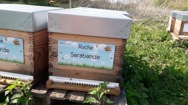 La ruche Sarabande