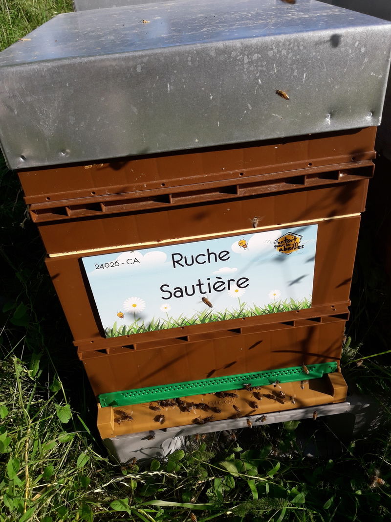 La ruche