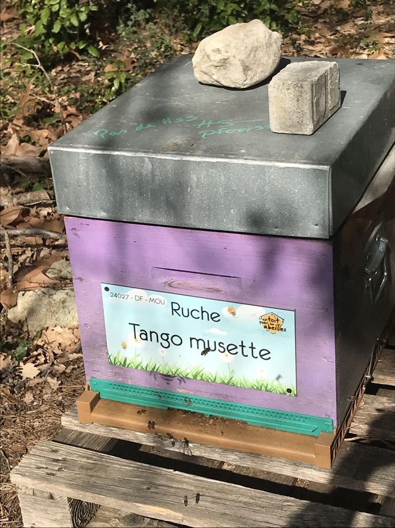 La ruche Tango musette