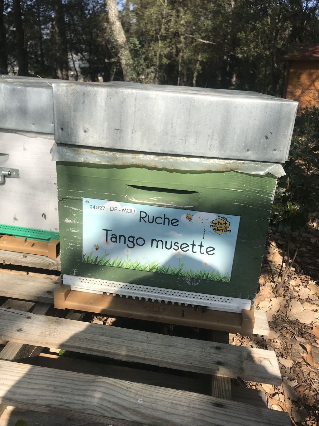 La ruche Tango musette