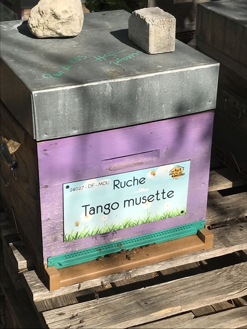 La ruche Tango musette