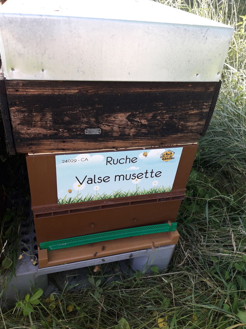 La ruche
