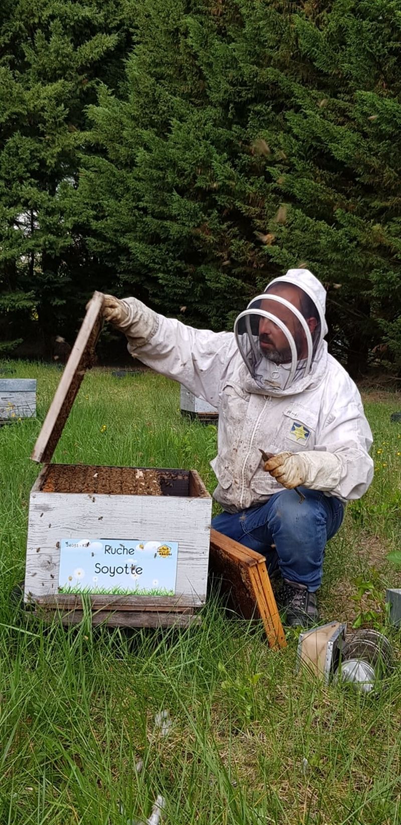 La ruche Soyotte